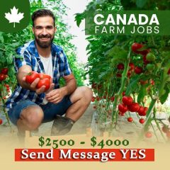 Farm Worker Jobs in Canada 2023