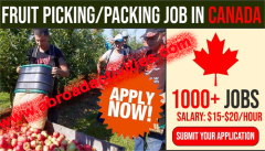 Agriculture Recruitment: Fruit Picking & Packaging Jobs