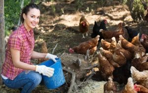 Poultry Farm Worker vacancies