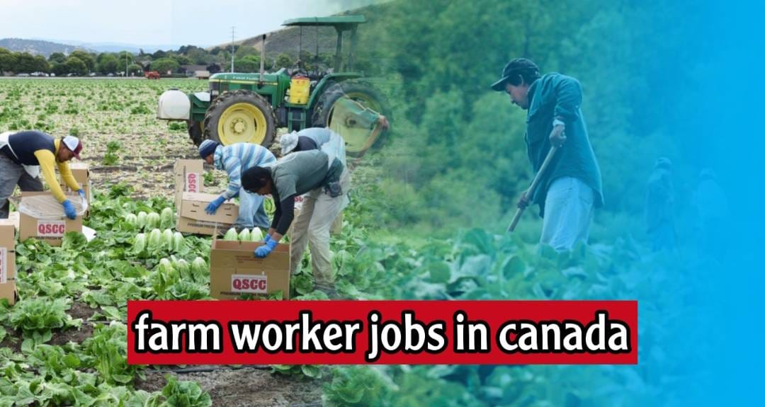 Visa Sponsorship Jobs in Agriculture in Canada