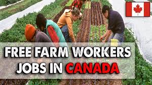 Harvest worker jobs in Canada for foreigners
